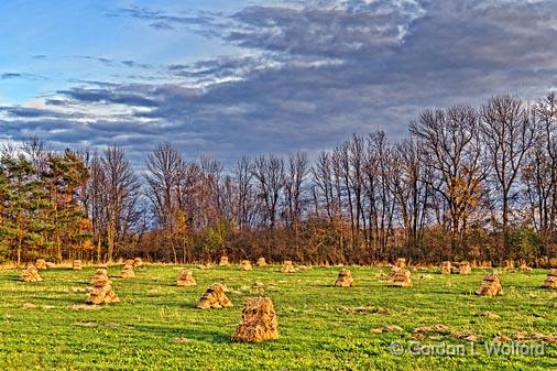 Autumn Landscape_18103.jpg - Photographed near Smiths Falls, Ontario, Canada.